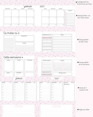 Agenda planificateur 2026-2027 – Boucles & fleurs roses