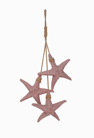 3 étoiles de mer roses