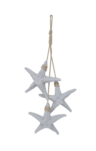 3 étoiles de mer blanches