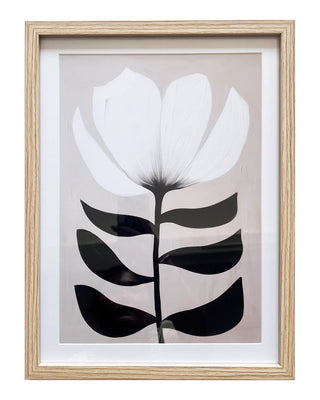 Cadre fleur blanche