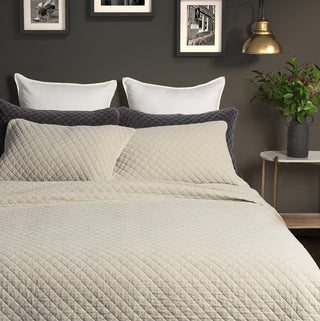 Courtepointe en velours crème Dove