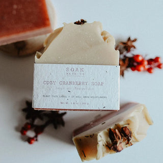 Savon aux canneberges épicées
