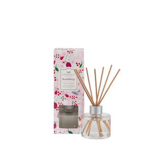 Diffuseur - Brambleberry
