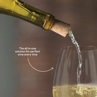 Refroidisseur et aérateur à vin Corkcicle Air