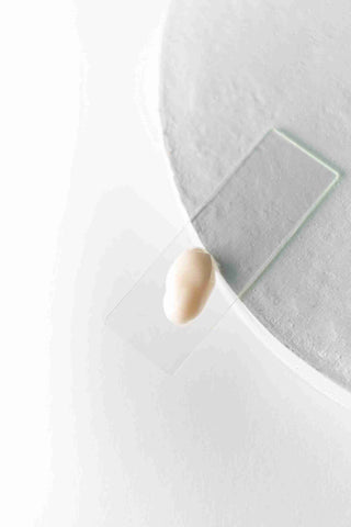 Lait démaquillant et nettoyant Pureté