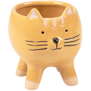 JARDINIÈRE – CHAT TIGRÉ