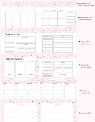 Agenda planificateur non daté – Fleuri sauge