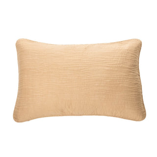 Cache oreiller décoratif tan Jazzy