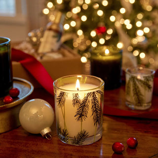 Bougie en verre sapin® Frasier